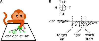 Brain-Inspired Coding of Robot Body Schema Through Visuo-Motor Integration of Touched Events